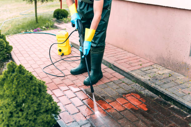 Animal Enclosure Cleaning in Riverside, AL